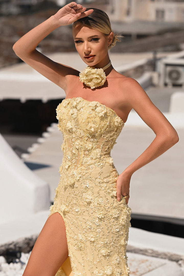 Portia & Scarlett PS26011