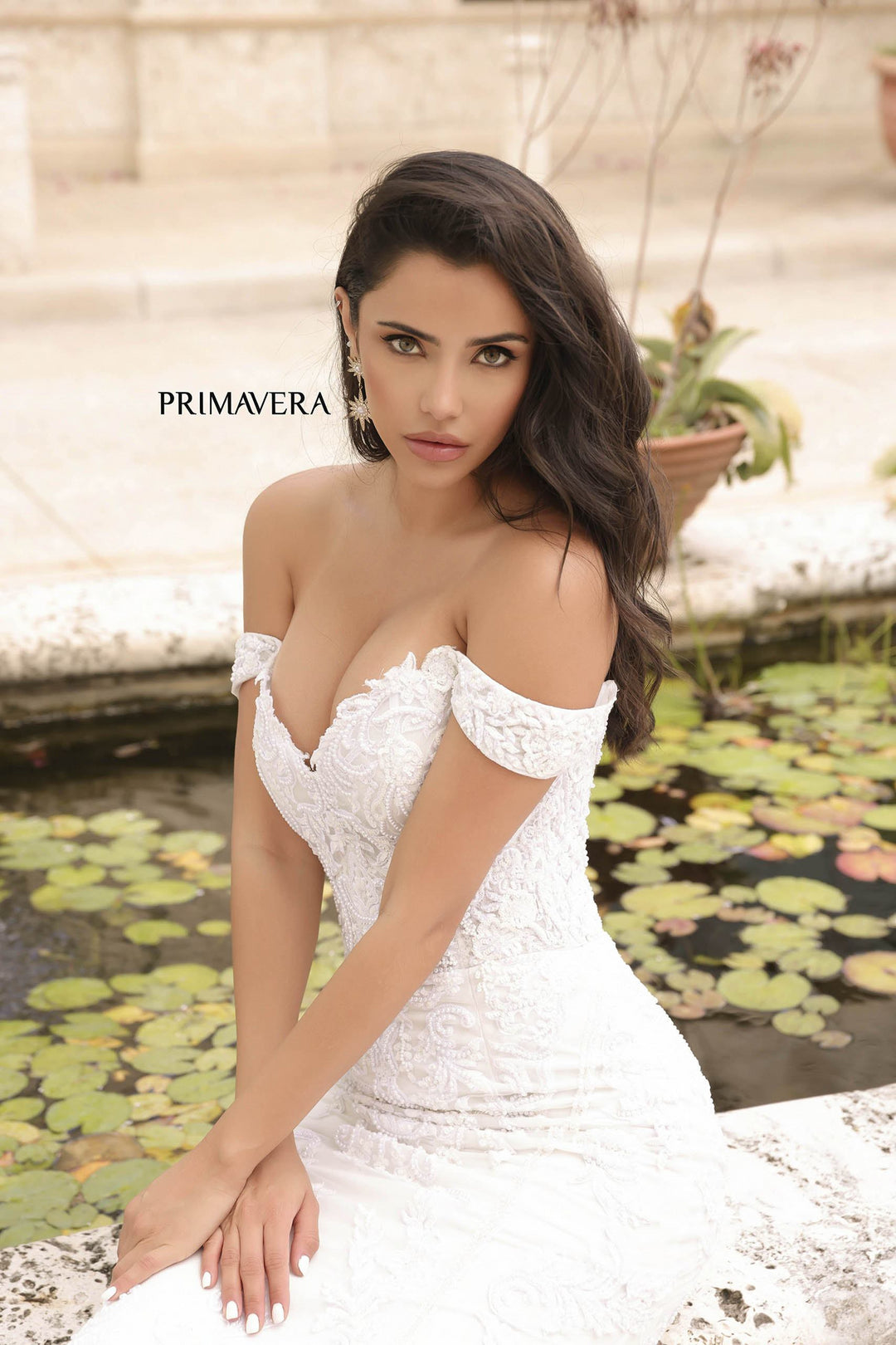 Primavera 11104