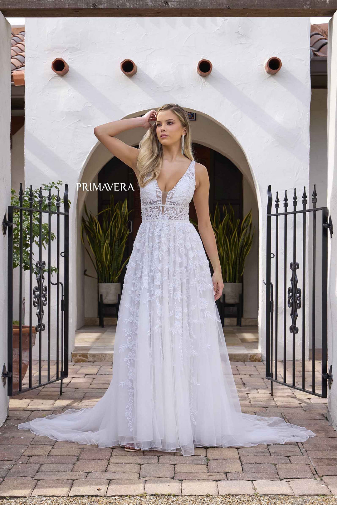 Primavera11142