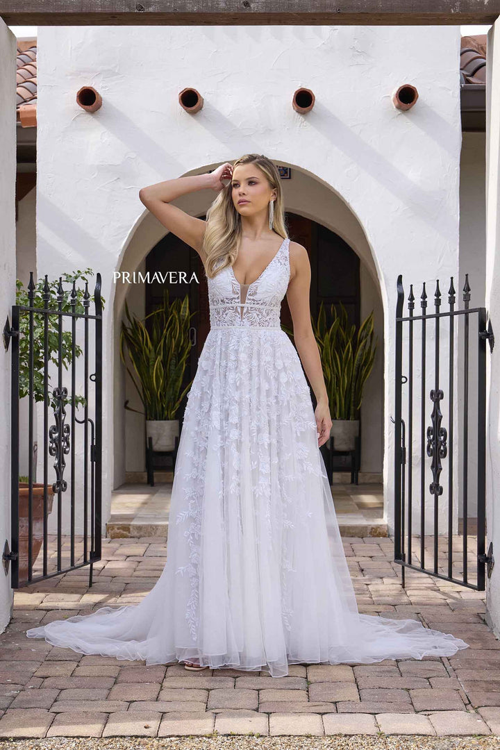 Primavera11142