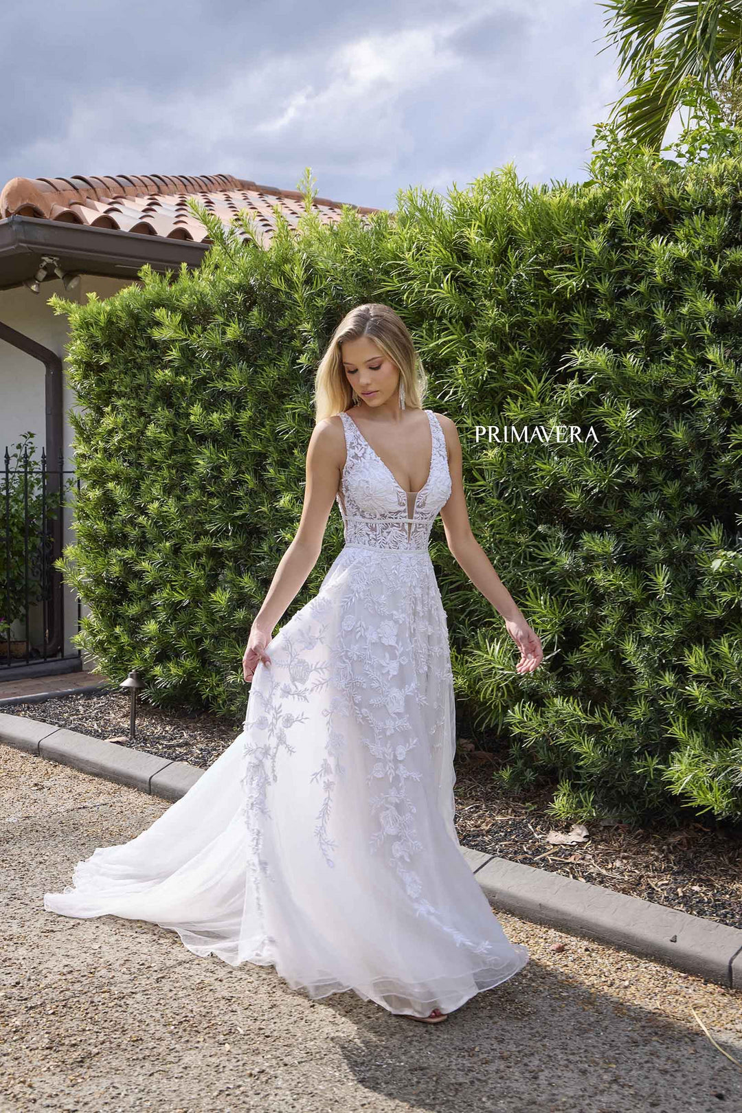 Primavera11142
