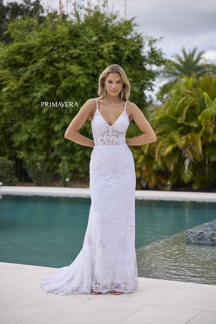 Primavera11143