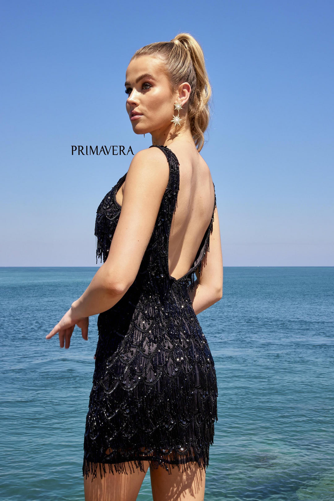 Primavera 4042
