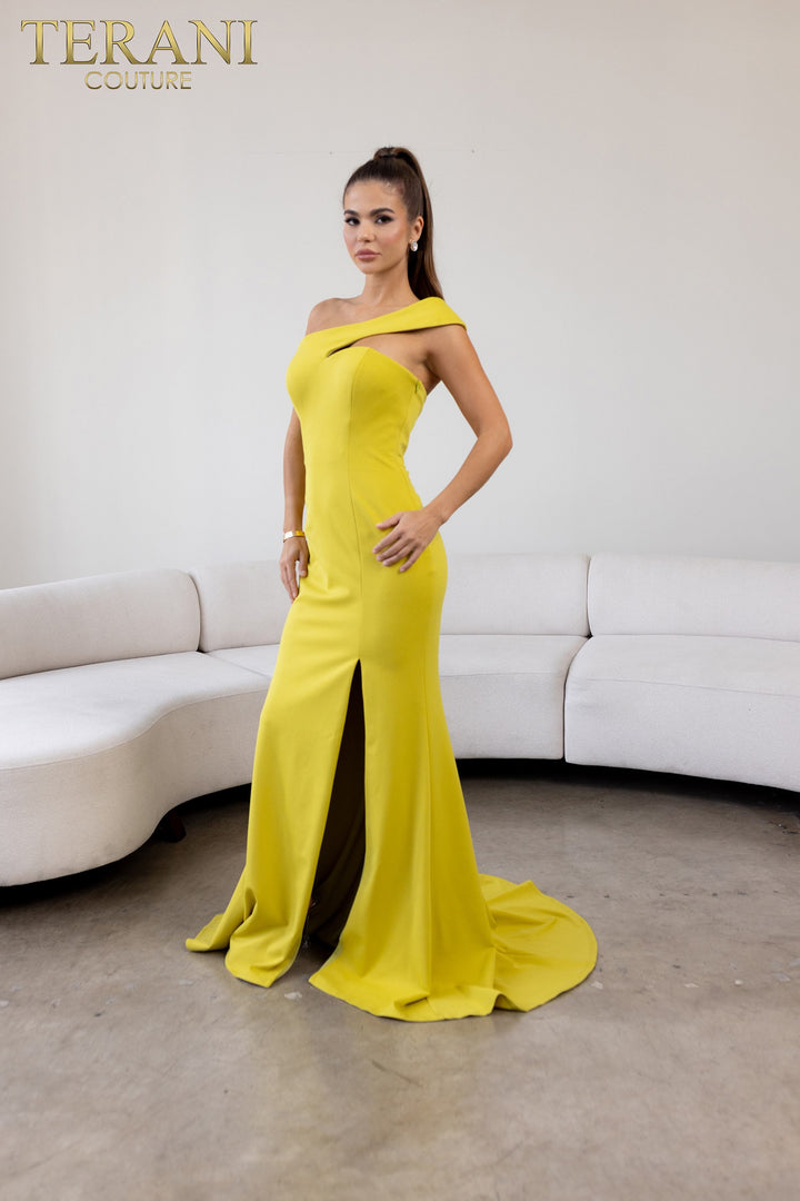 Terani Couture 241E2416