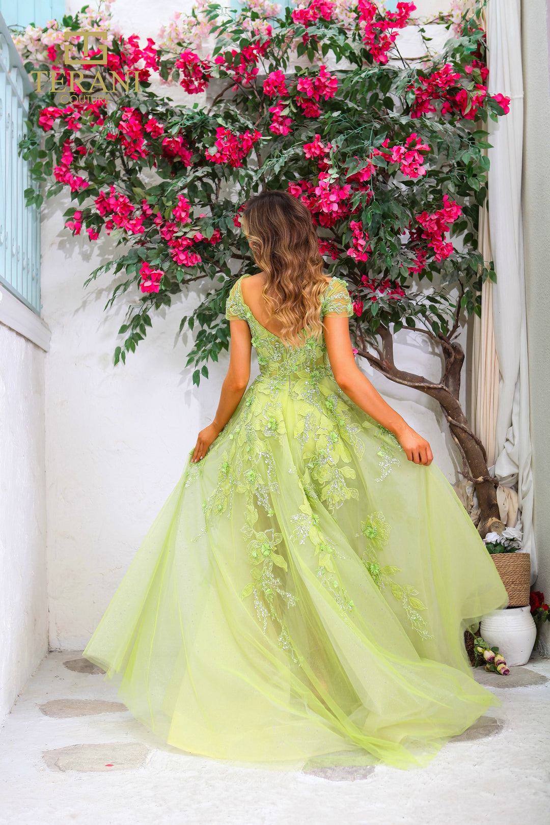 Terani Couture 251P4533