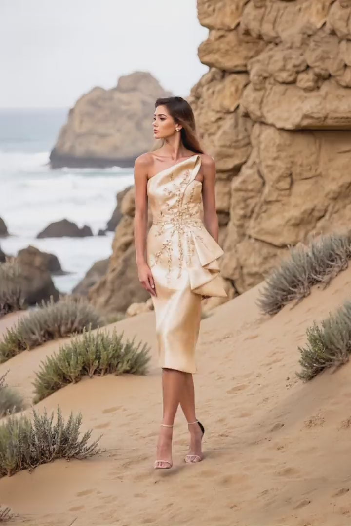 Terani Couture 252C5032