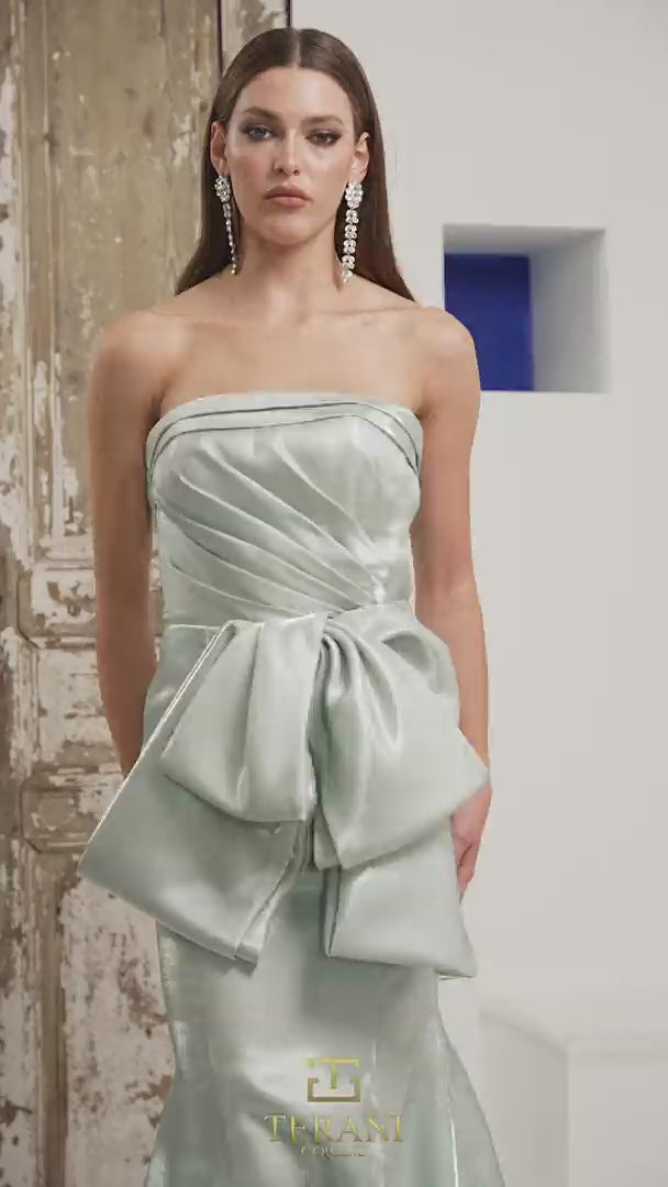 Terani Couture 252E5164