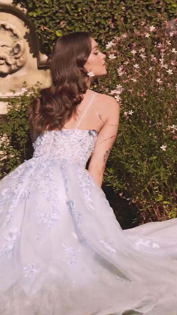 أندريا وليو A1437