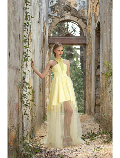Theme Party and Ultimate Fashion Designer Dresses Collection