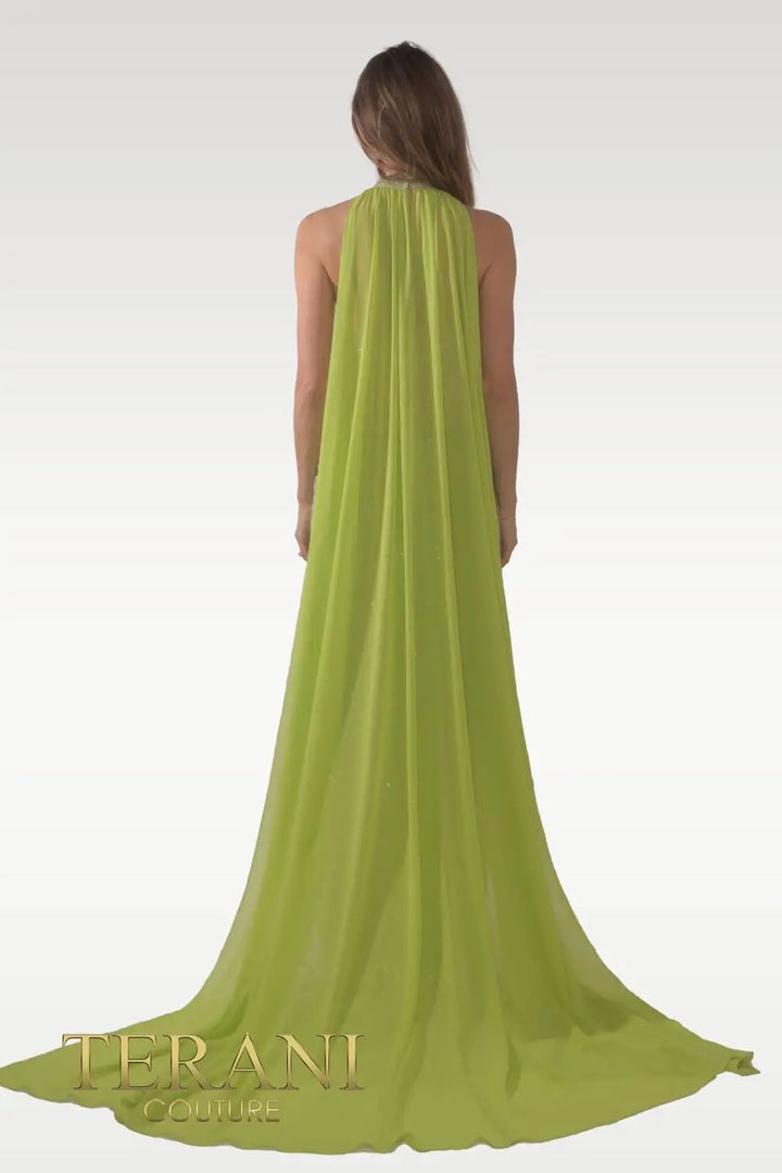 Terani Couture 241GL2622