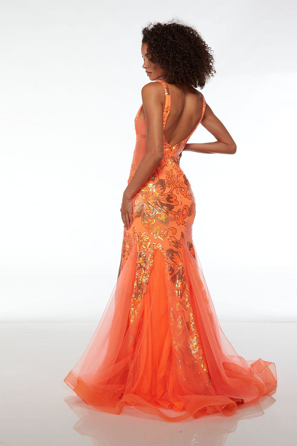 Alyce61549