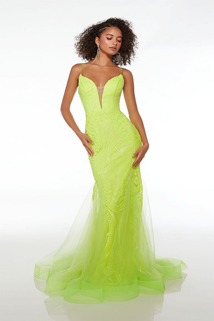 Alyce61554