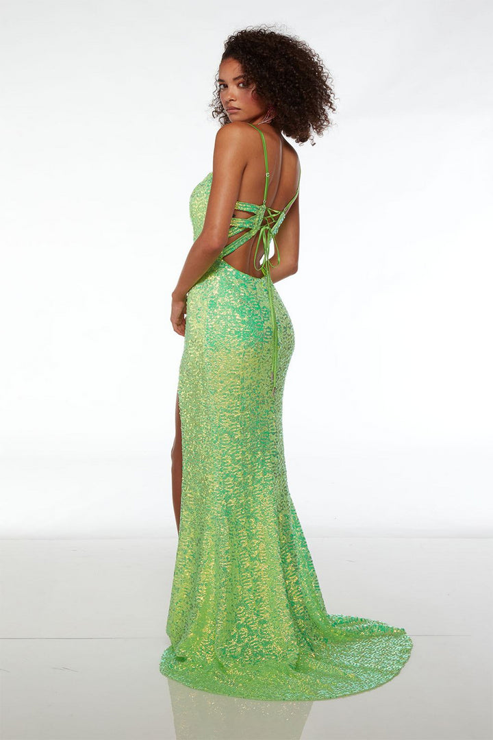 Alyce61556