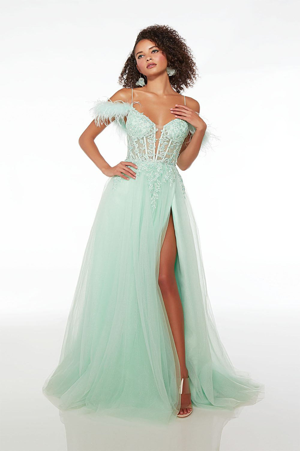 Alyce61561