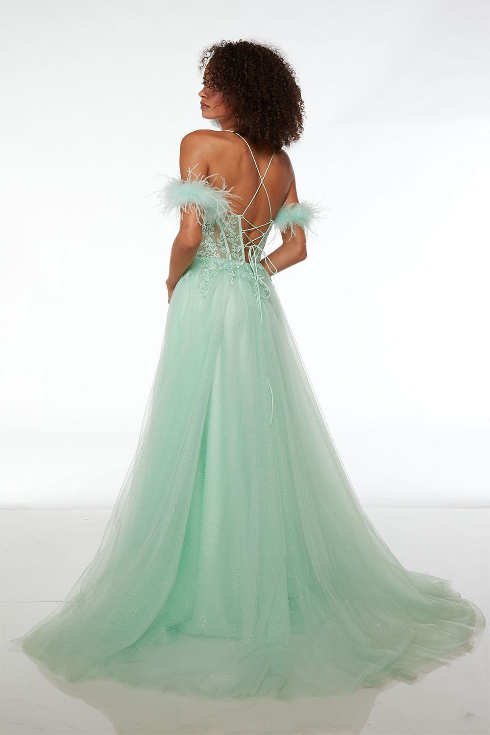 Alyce61561
