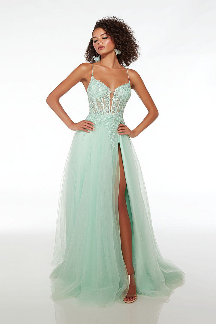 Alyce61561