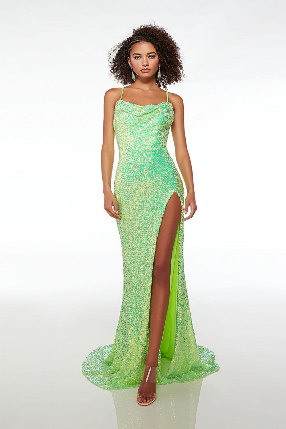 Alyce61588