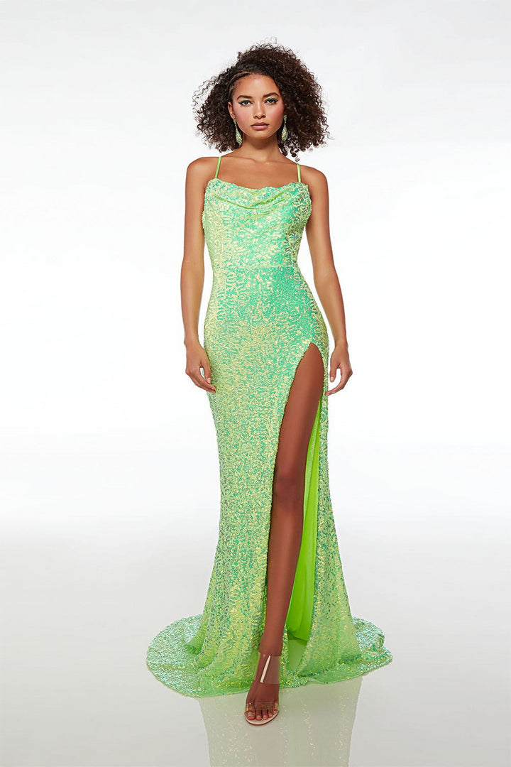 Alyce61588