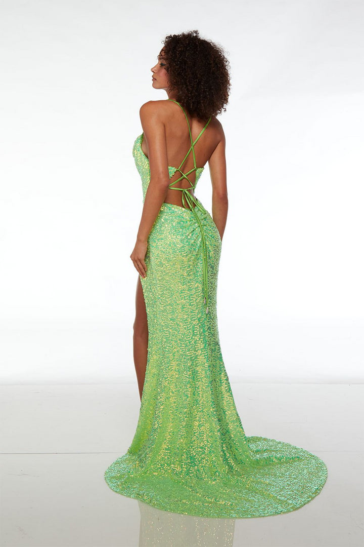 Alyce61588