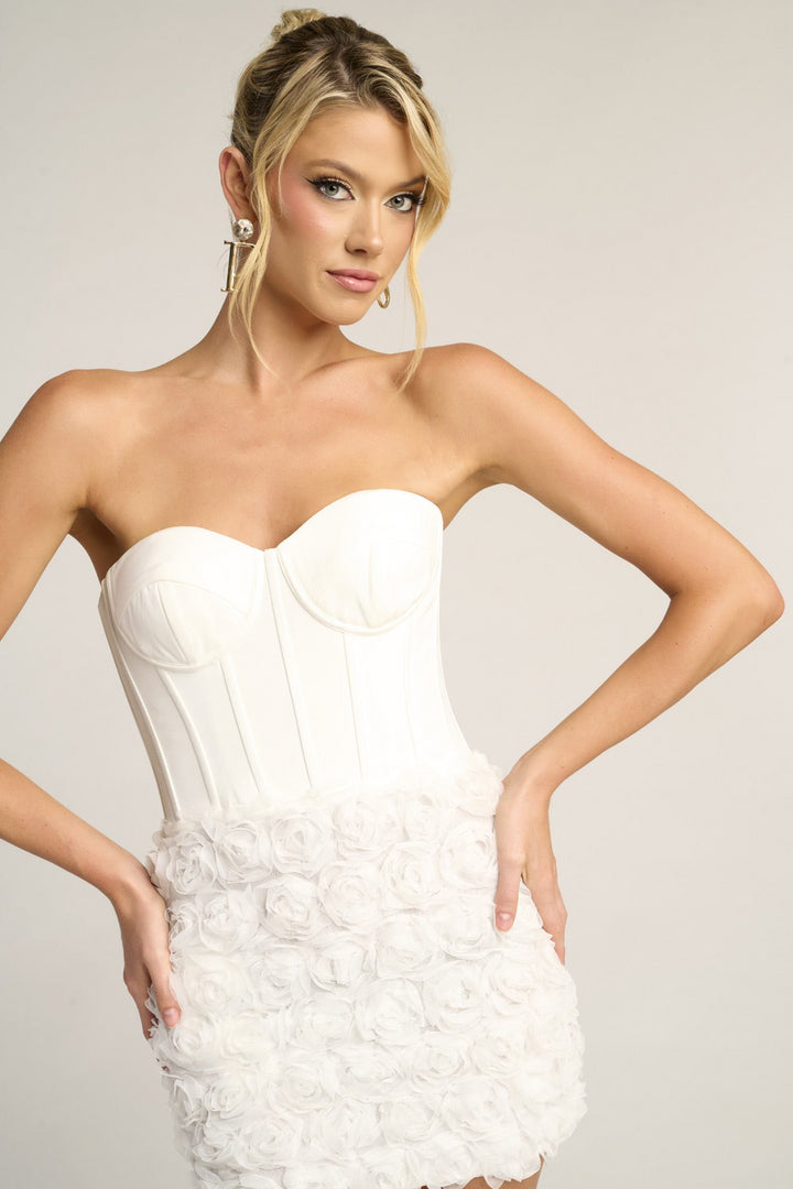 Portia & Scarlett PS26500