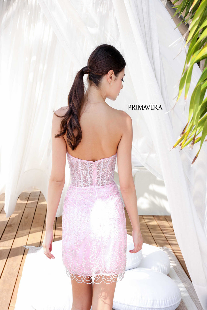Primavera 4213