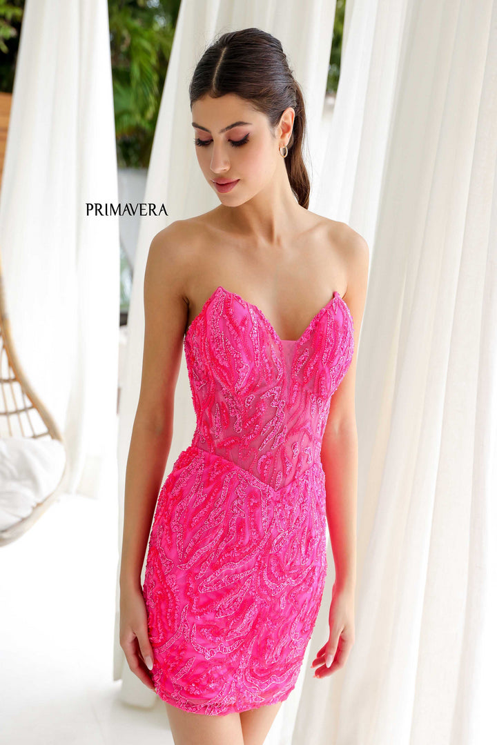 Primavera 4222