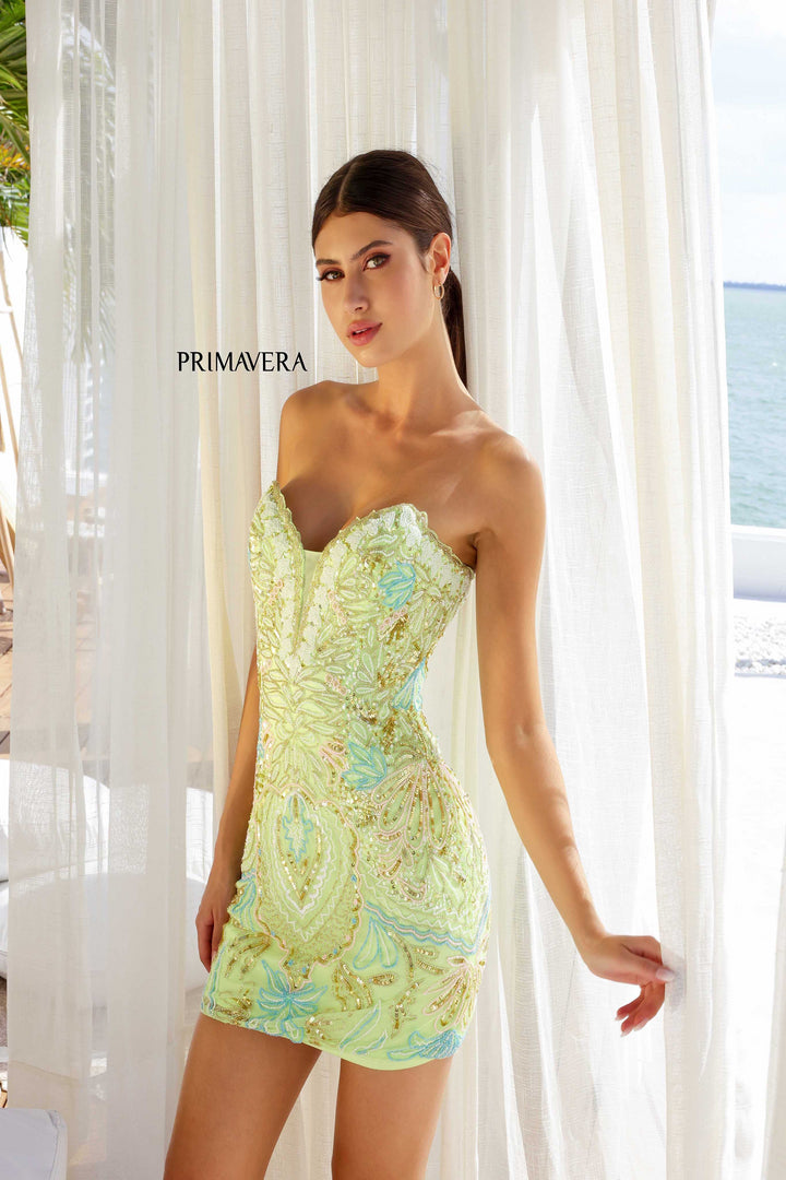 Primavera 4243