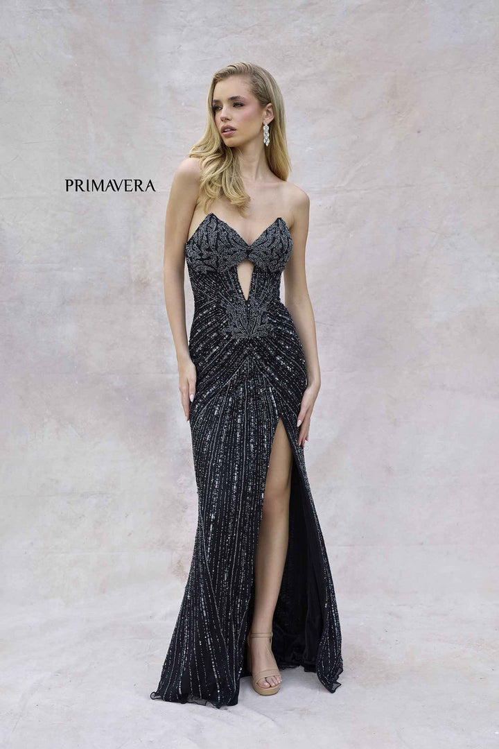 Primavera 4309