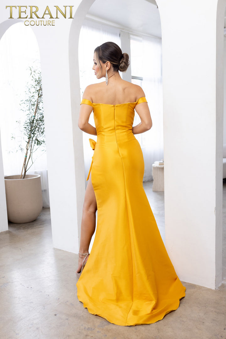 Terani Couture 241P2017