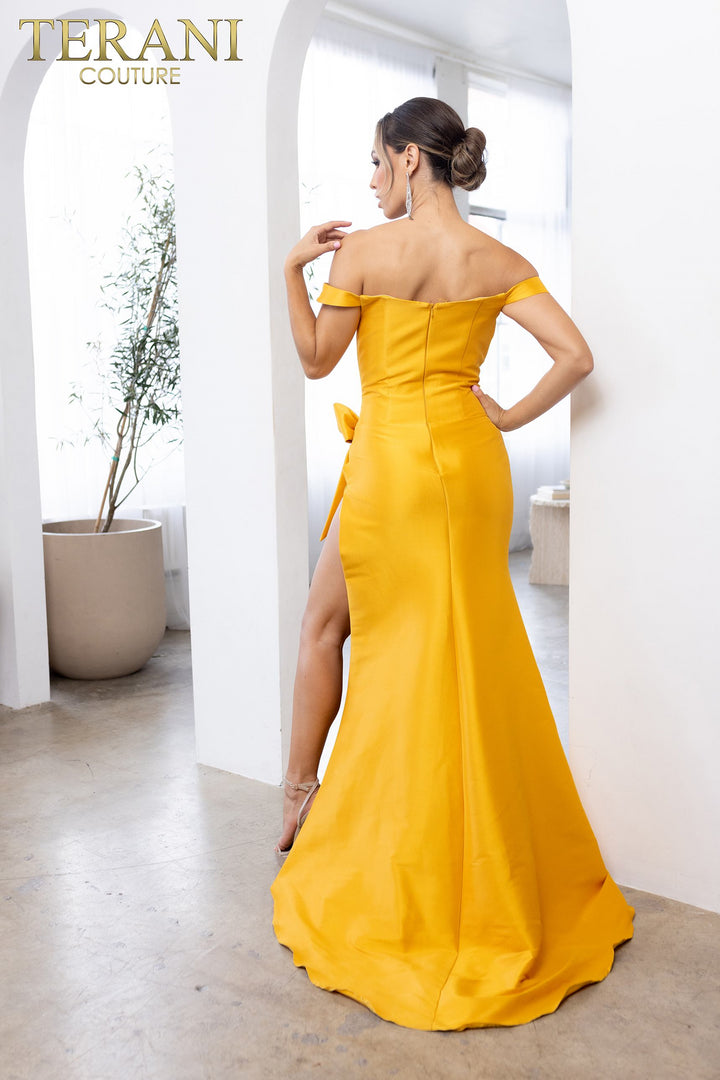 Terani Couture 241P2017