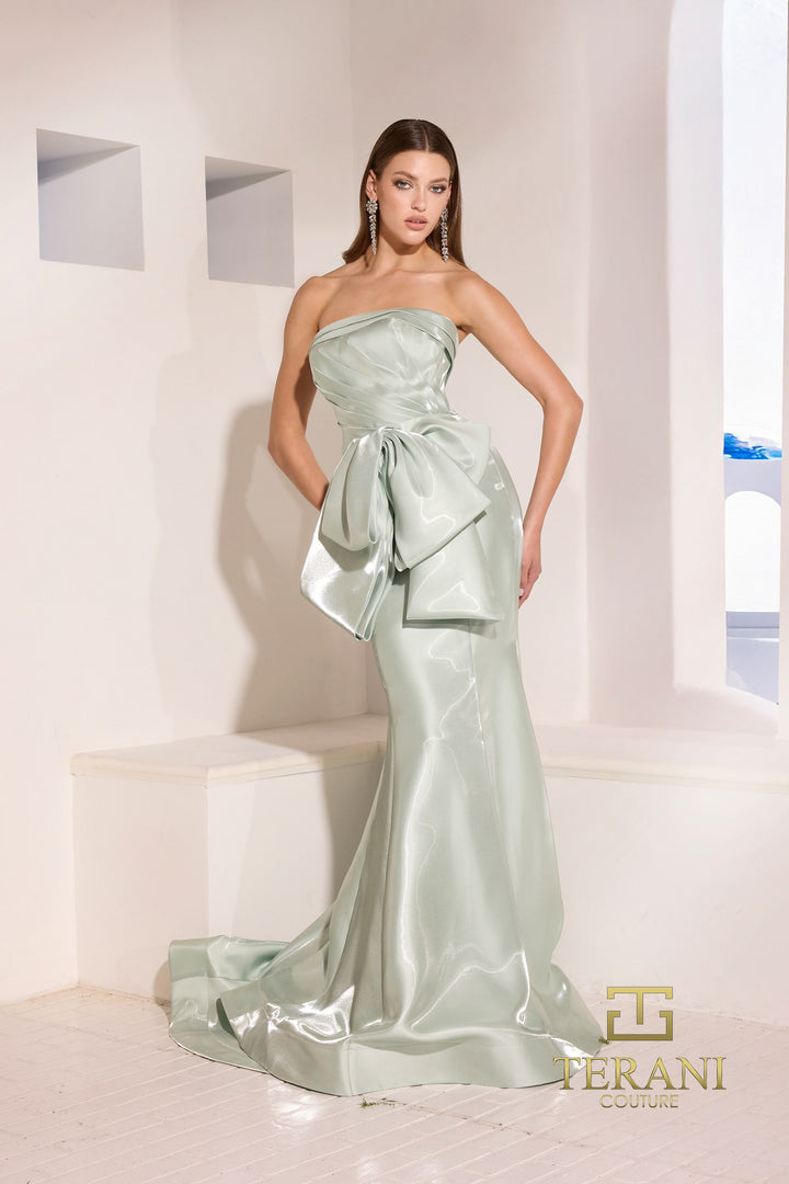 Terani Couture 252E5164