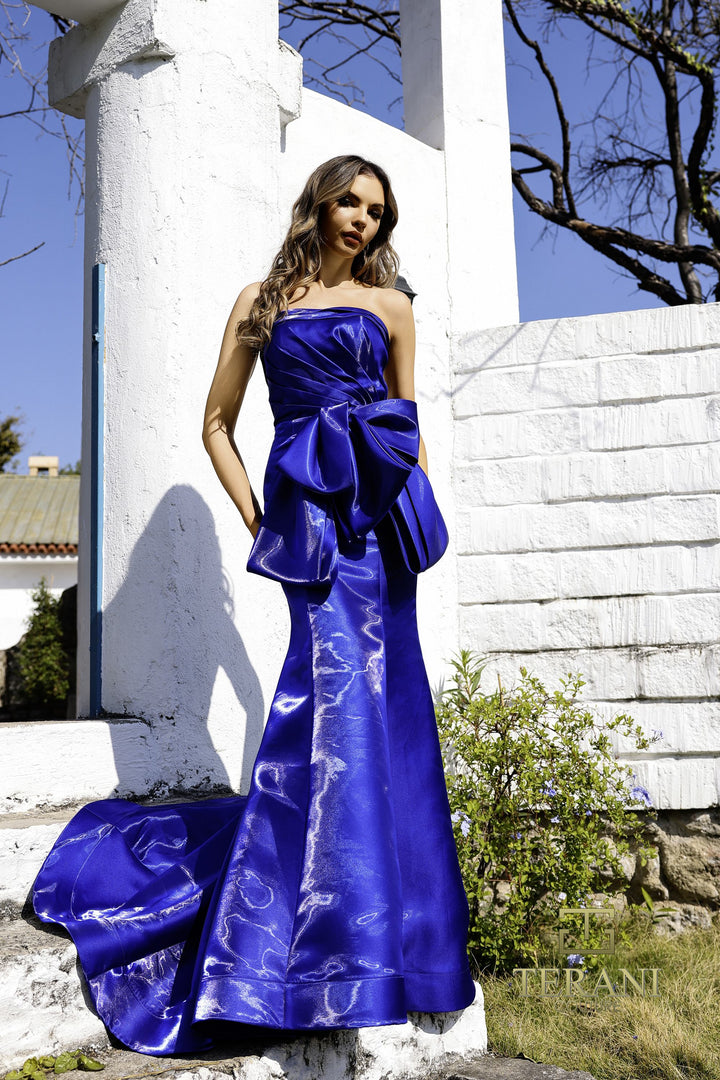 Terani Couture 252E5164