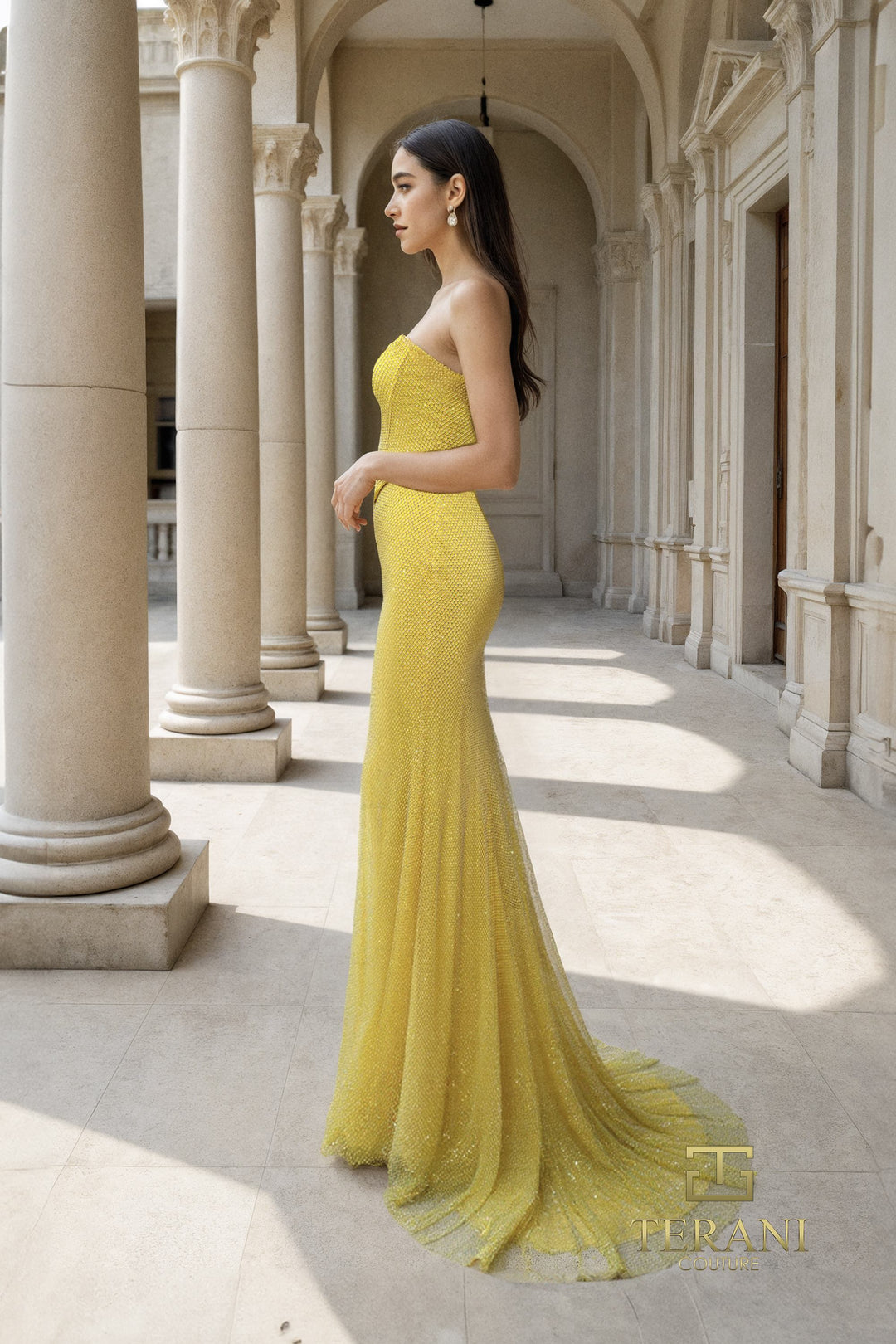 Terani Couture 261P6187