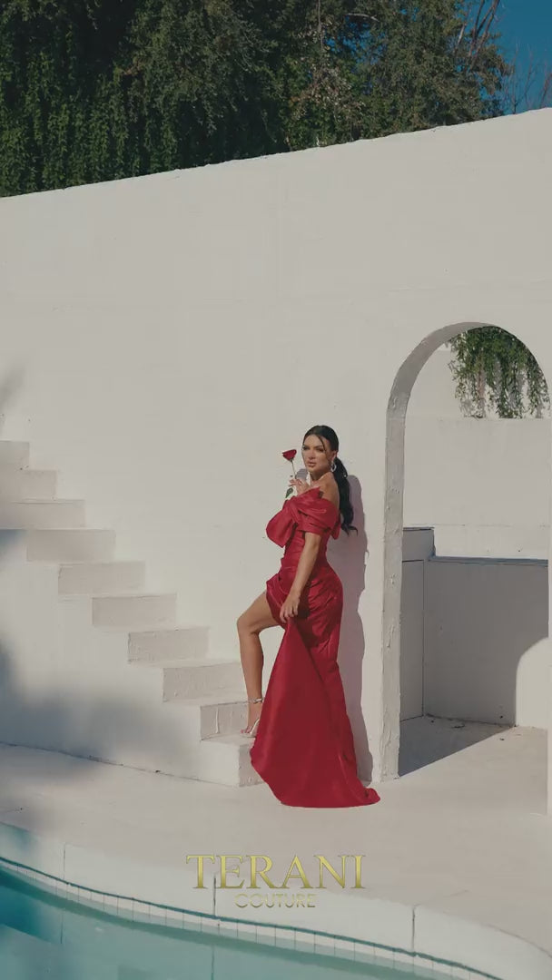 Terani Couture 241E2413