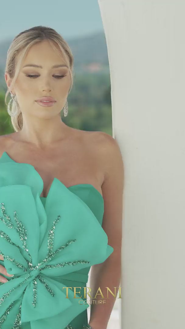 Terani Couture 241E2411