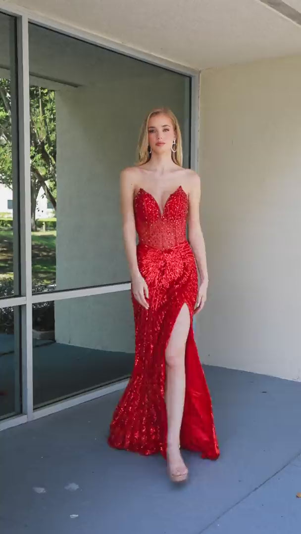 Primavera 4304