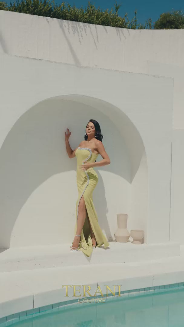 Terani Couture 241E2437