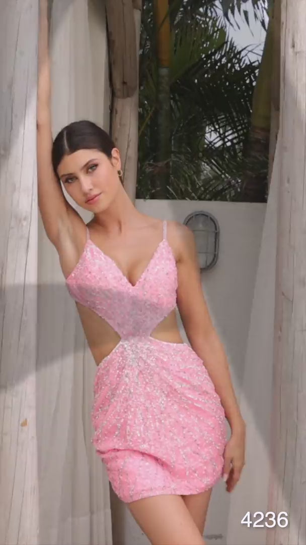 Primavera 4236
