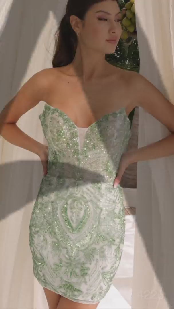 Primavera 4226