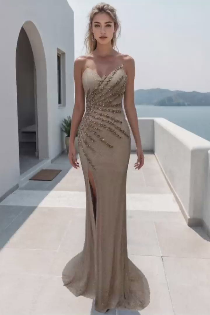 تيراني كوتور 261P6079