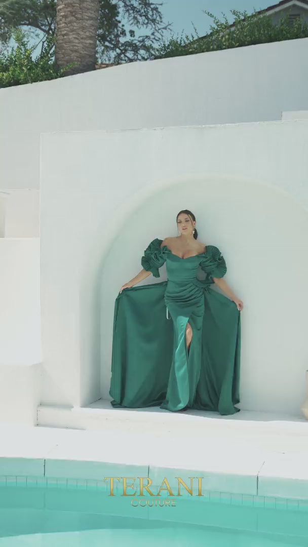Terani Couture 232M1510