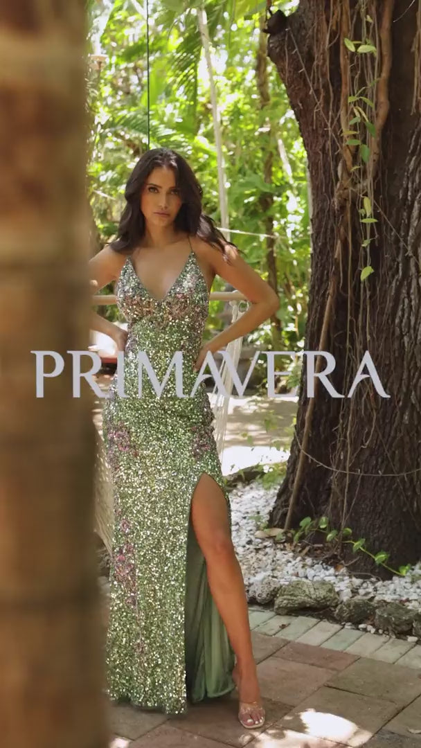 Primavera 3211