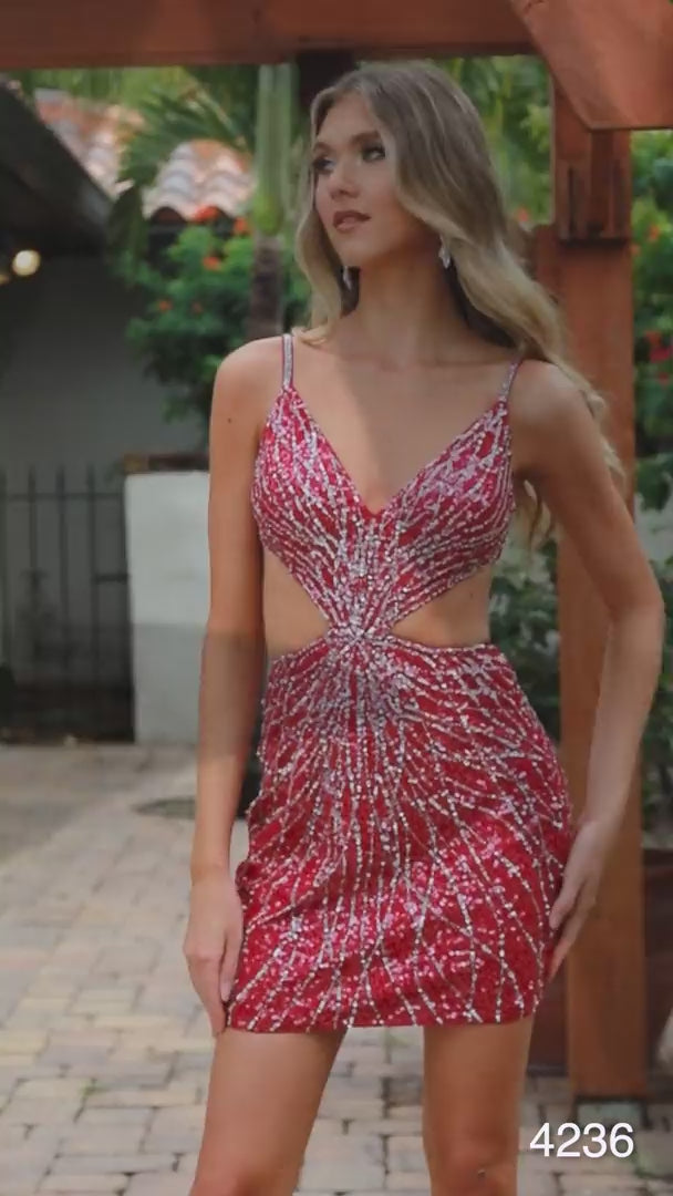 Primavera 4236