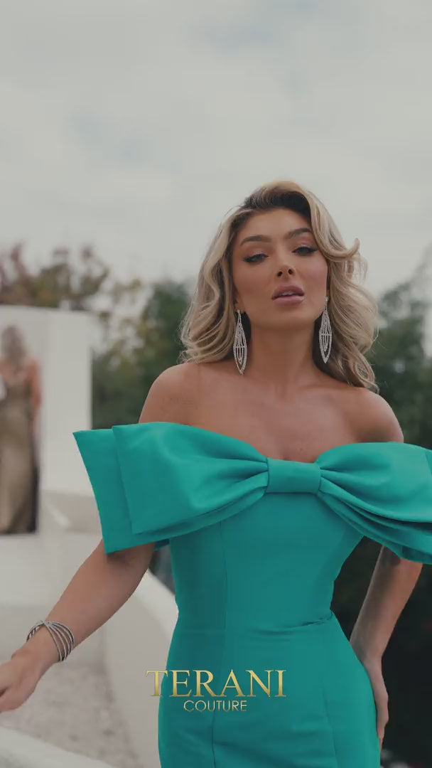 Terani Couture 241E2407