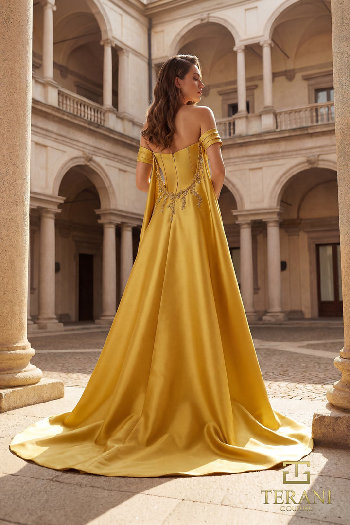 Terani Couture 262M7252