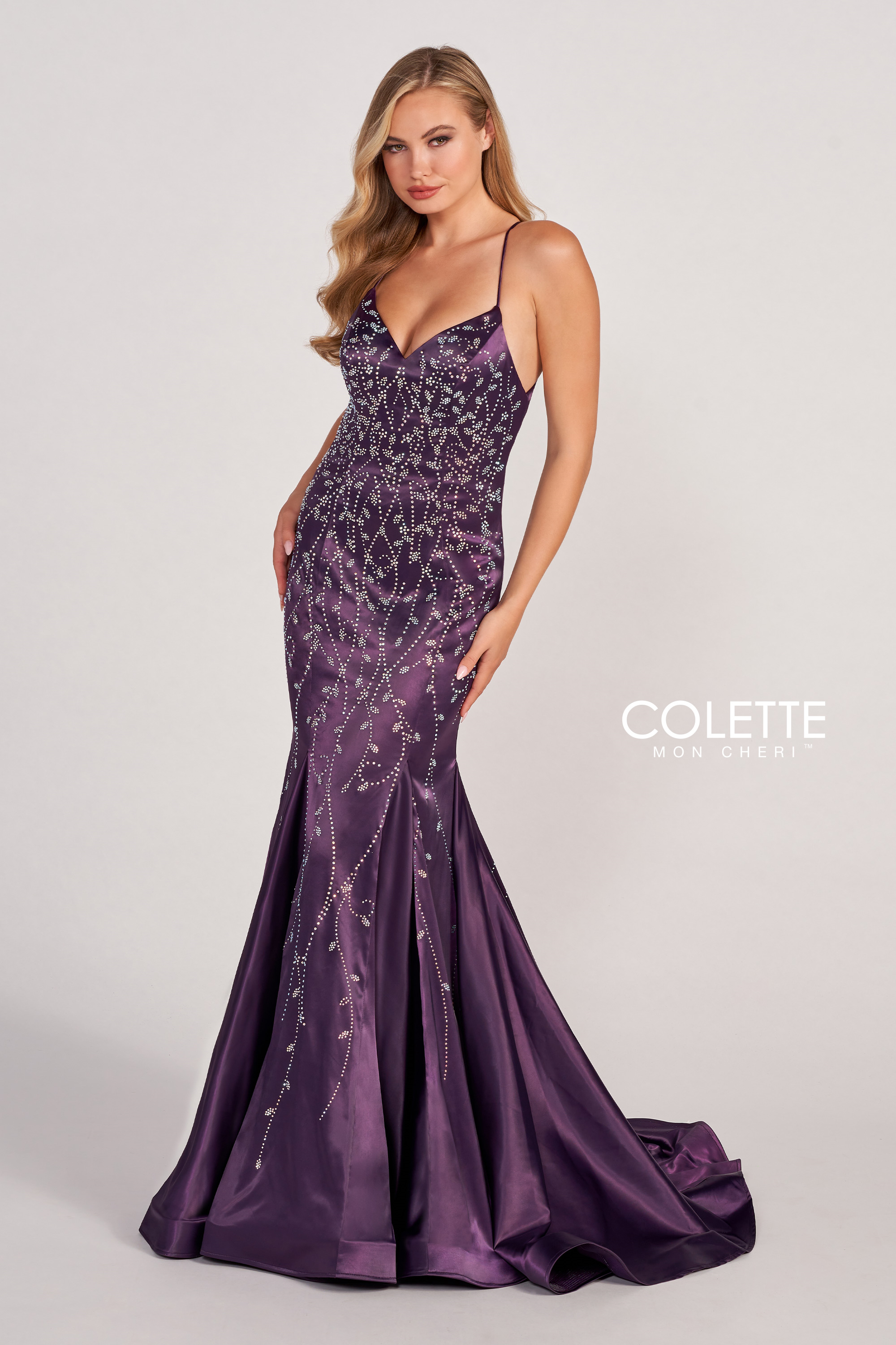 リボン付き黒スエード カラー&リード　Carlotte's Appliqué Floral with Dress Mini Corset Velvet – 4871 ASHLEYlauren Dress 首輪・ハーネス・リード
