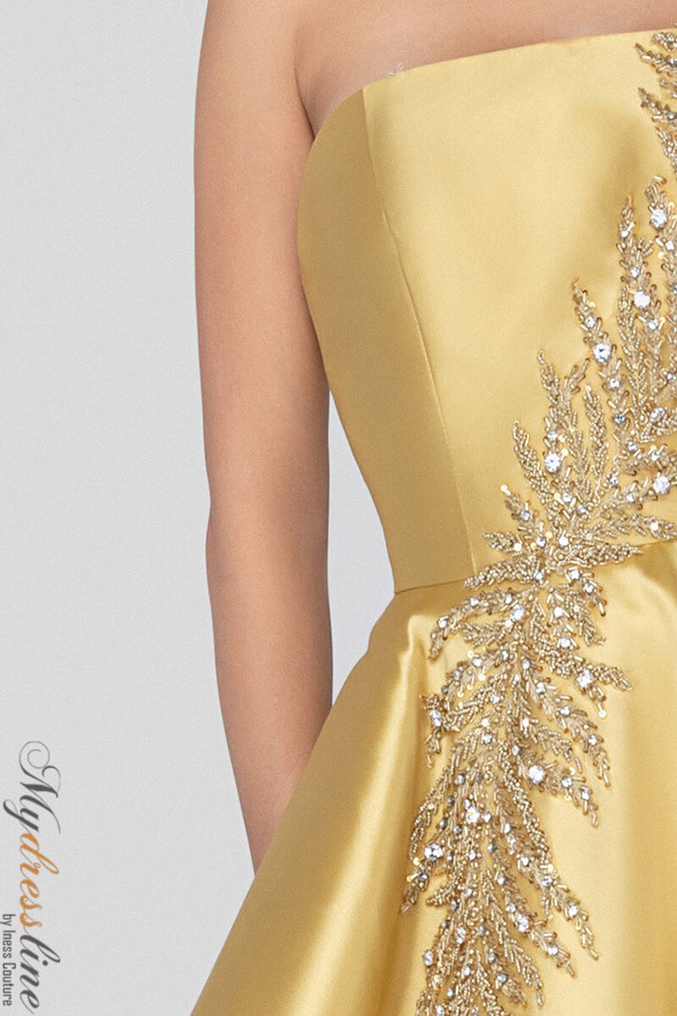 Terani Couture 1912E9202 - Mydressline