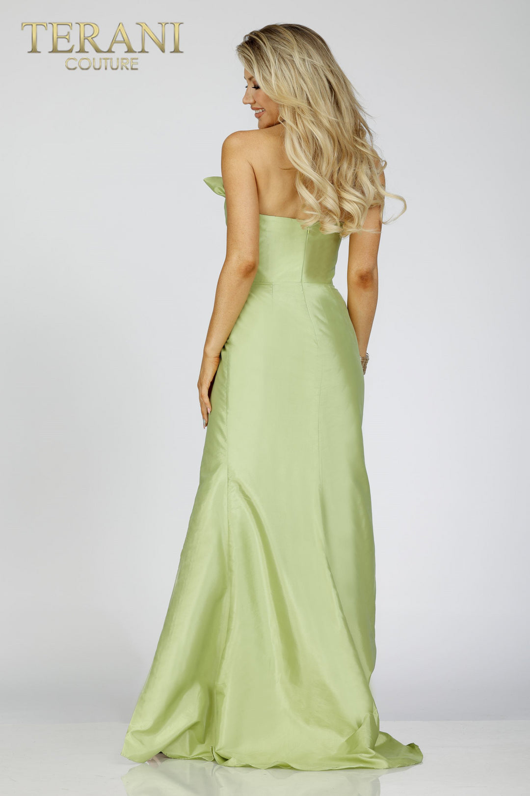 Terani Couture 231P0180 - Mydressline